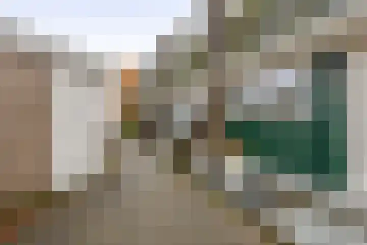 Slakkenveen 293 Spijkenisse thumbnail 8