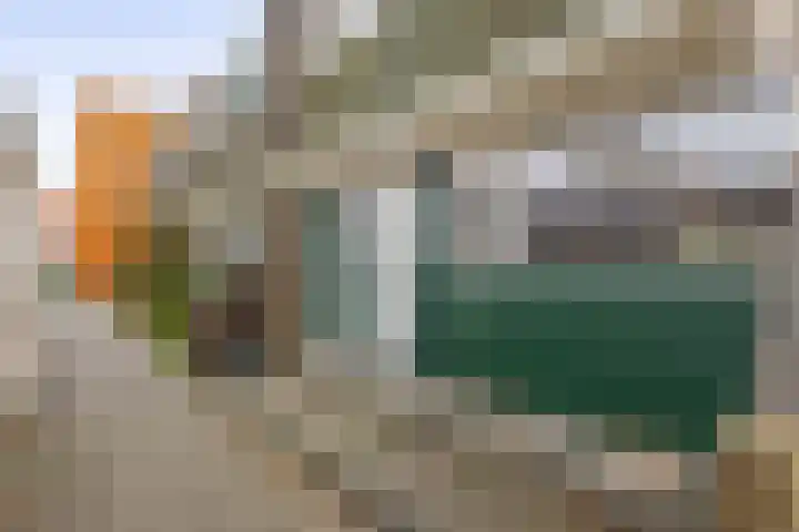 Slakkenveen 293 Spijkenisse thumbnail 9