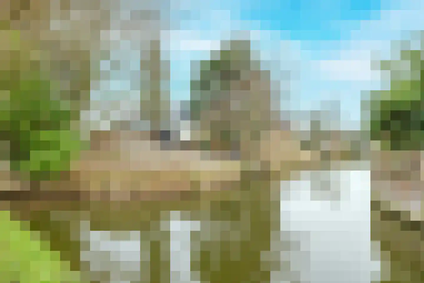Slakkenveen 325 Spijkenisse thumbnail 39