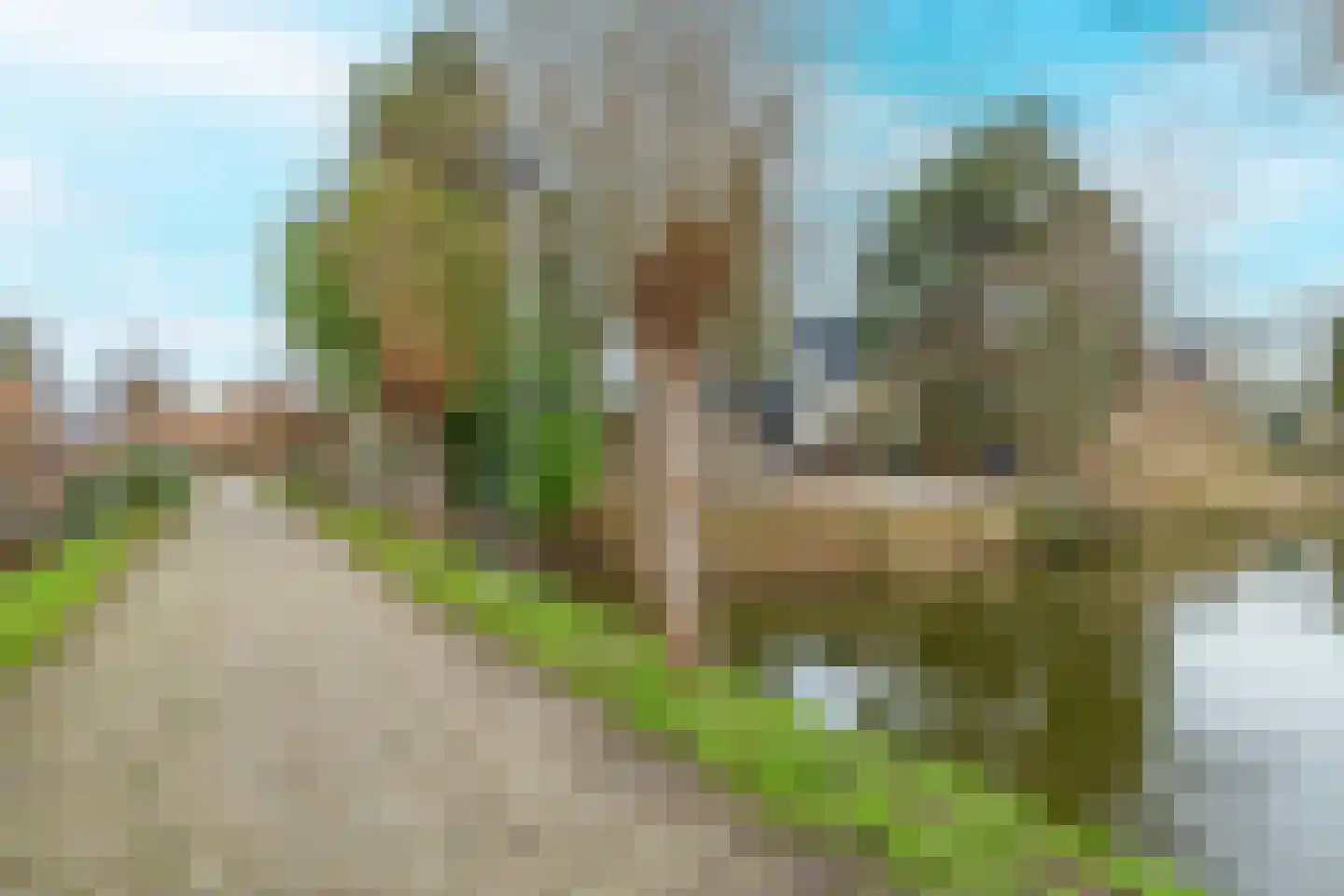 Slakkenveen 325 Spijkenisse thumbnail 53
