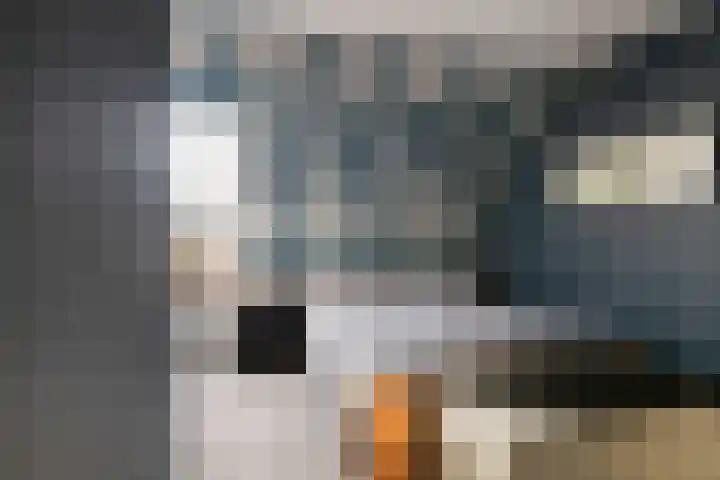 Slakkenveen 520 Spijkenisse thumbnail 17