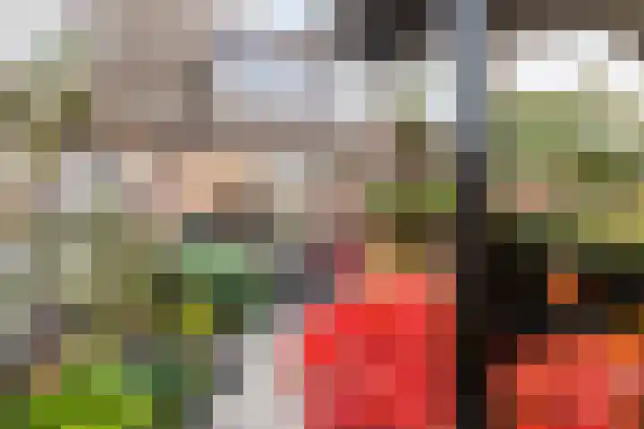 Slakkenveen 520 Spijkenisse thumbnail 22