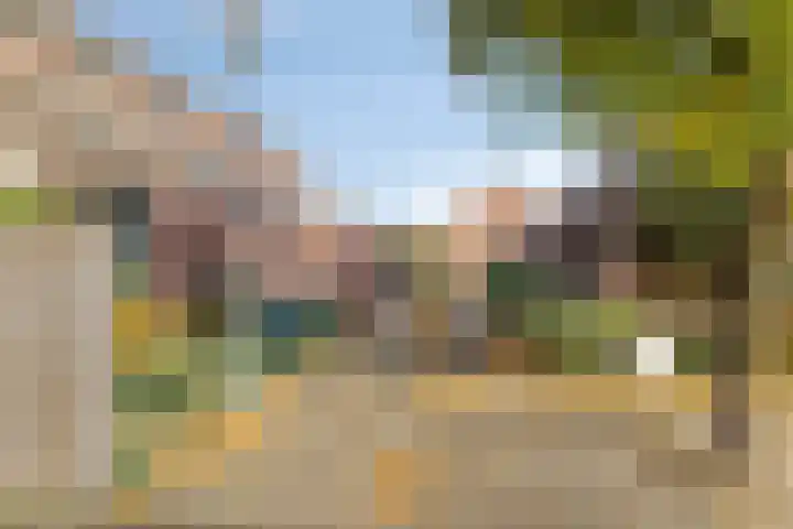 Slakkenveen 520 Spijkenisse thumbnail 25