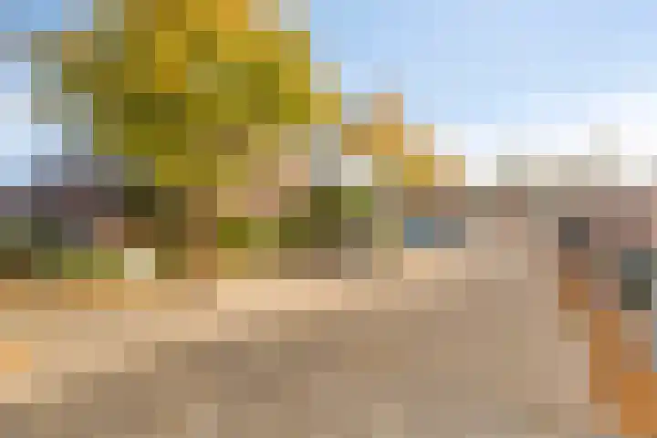 Slakkenveen 520 Spijkenisse thumbnail 26