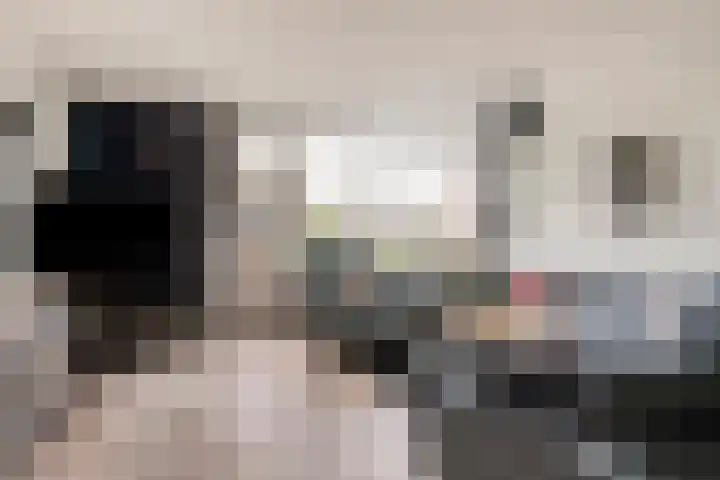 Slakkenveen 520 Spijkenisse thumbnail 4