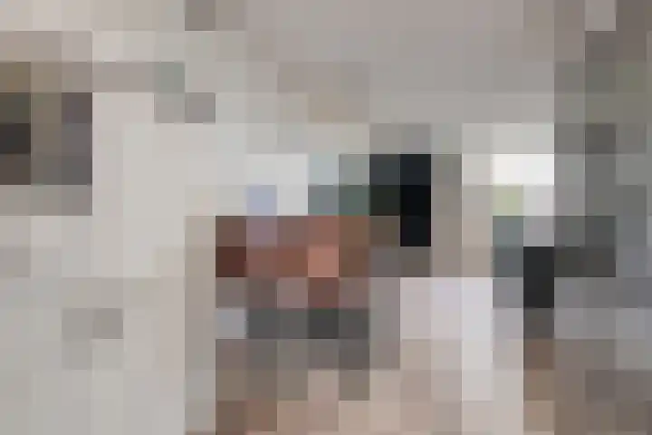 Slakkenveen 520 Spijkenisse thumbnail 9