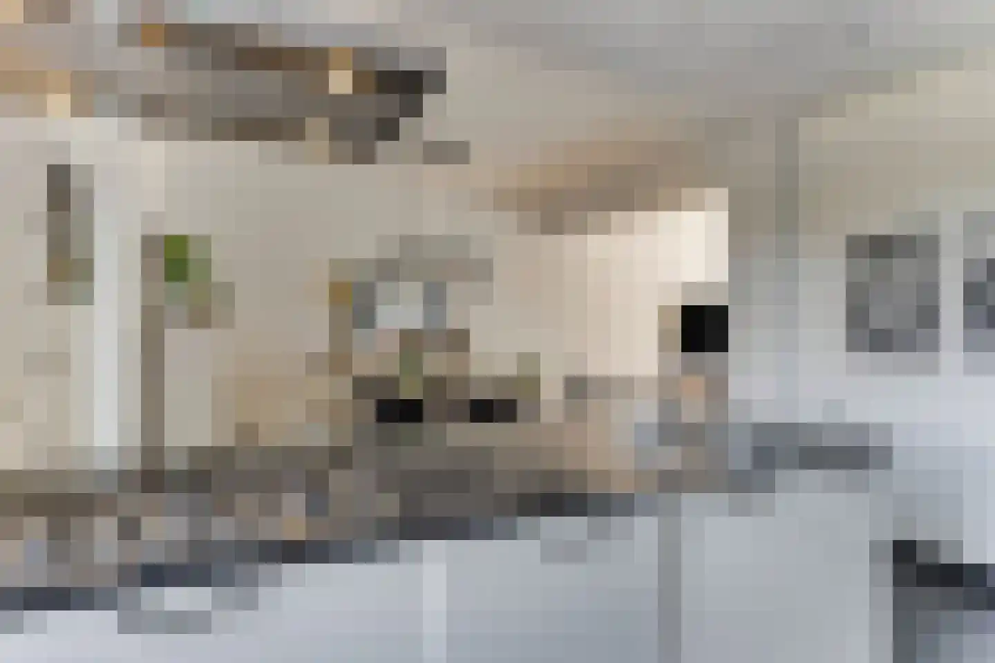 Slakstraat 38 Kerkrade thumbnail 4