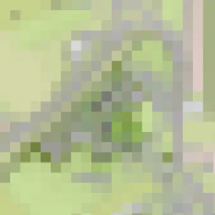 Slakweg 1 Gronsveld thumbnail 6