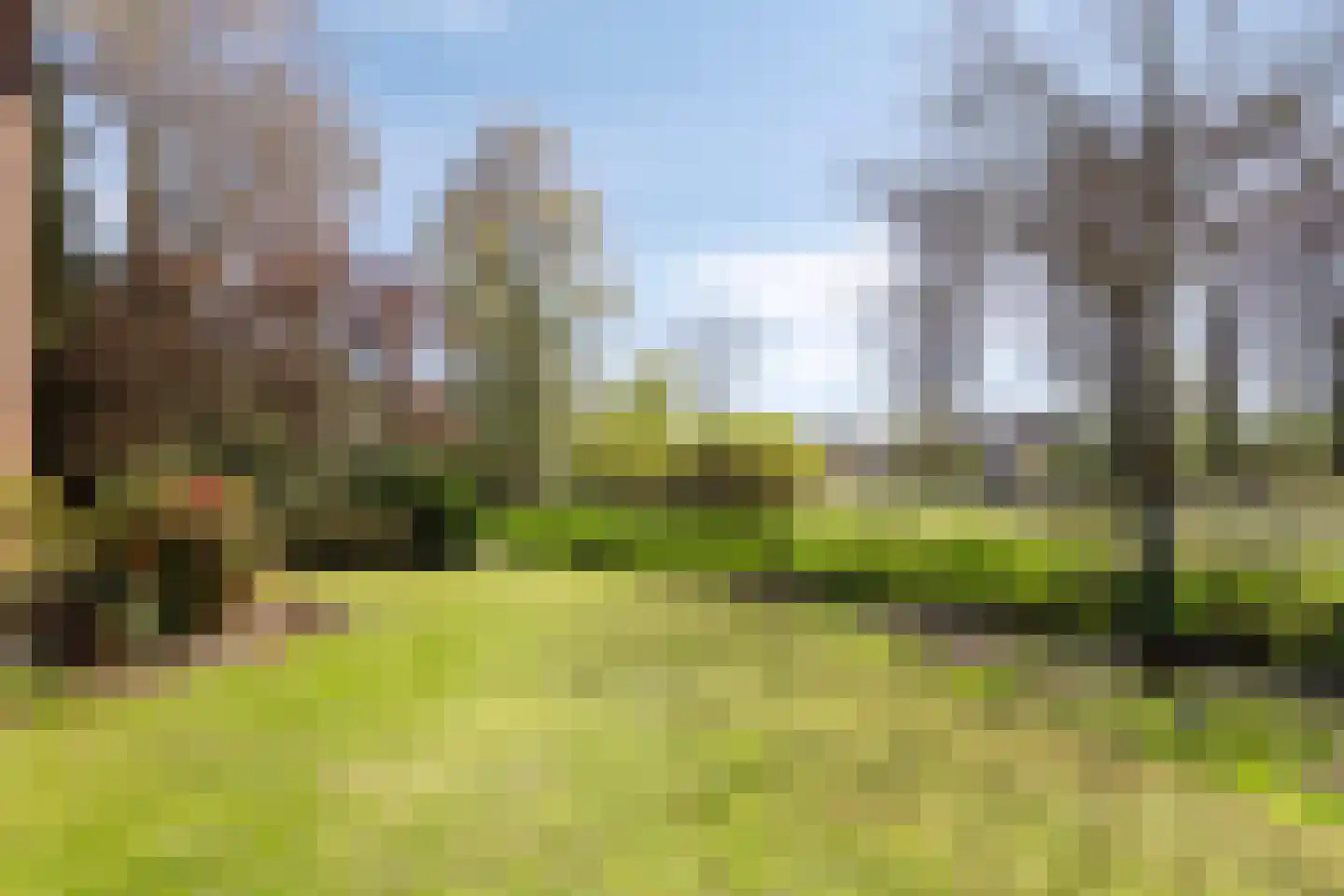 Slakweg 104 Gaanderen thumbnail 4