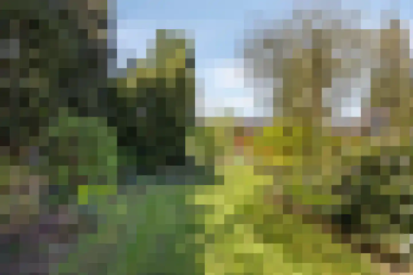 Slakweg 104 Gaanderen thumbnail 44