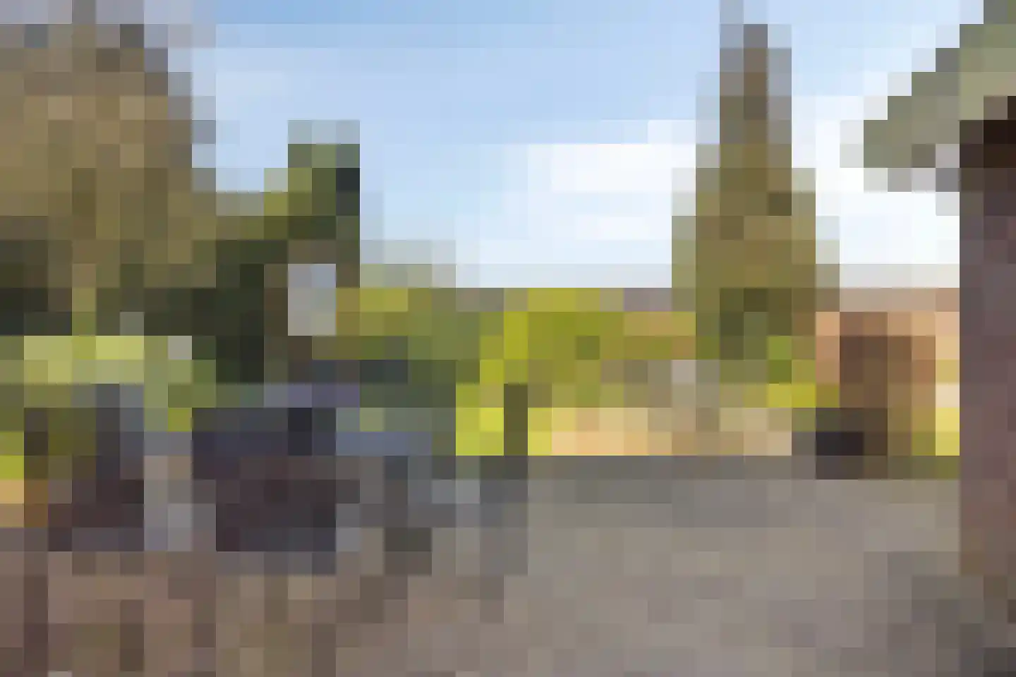 Slakweg 104 Gaanderen thumbnail 49