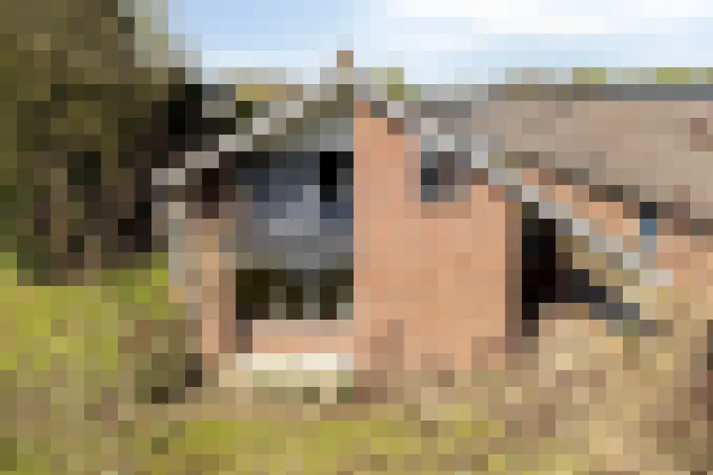 Slakweg 104 Gaanderen thumbnail 50
