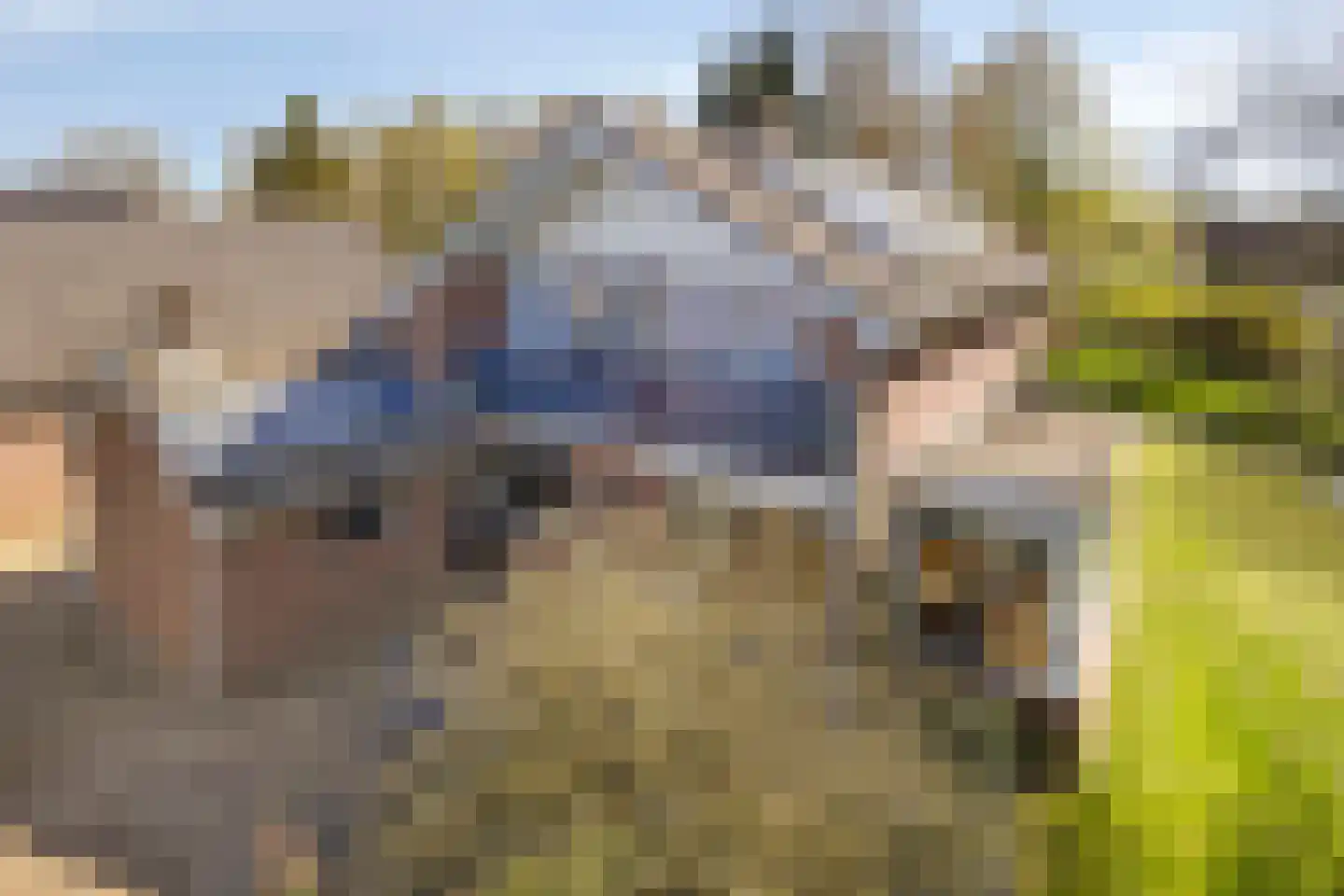 Slakweg 104 Gaanderen thumbnail 53