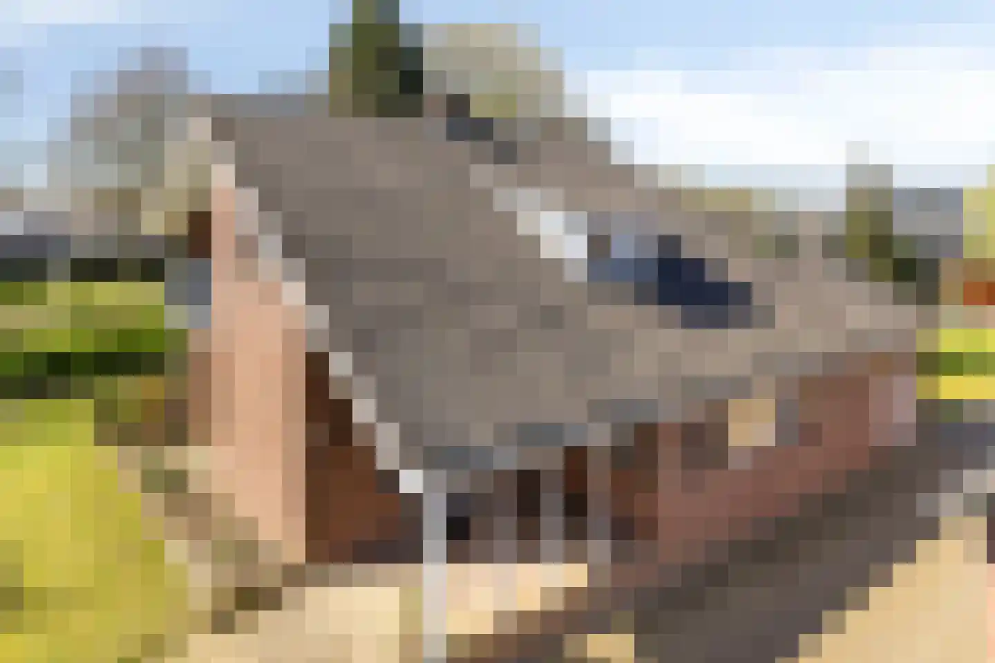 Slakweg 104 Gaanderen thumbnail 54