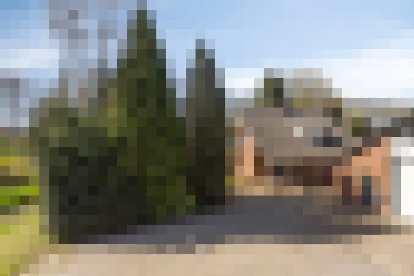 Slakweg 104 Gaanderen thumbnail 55
