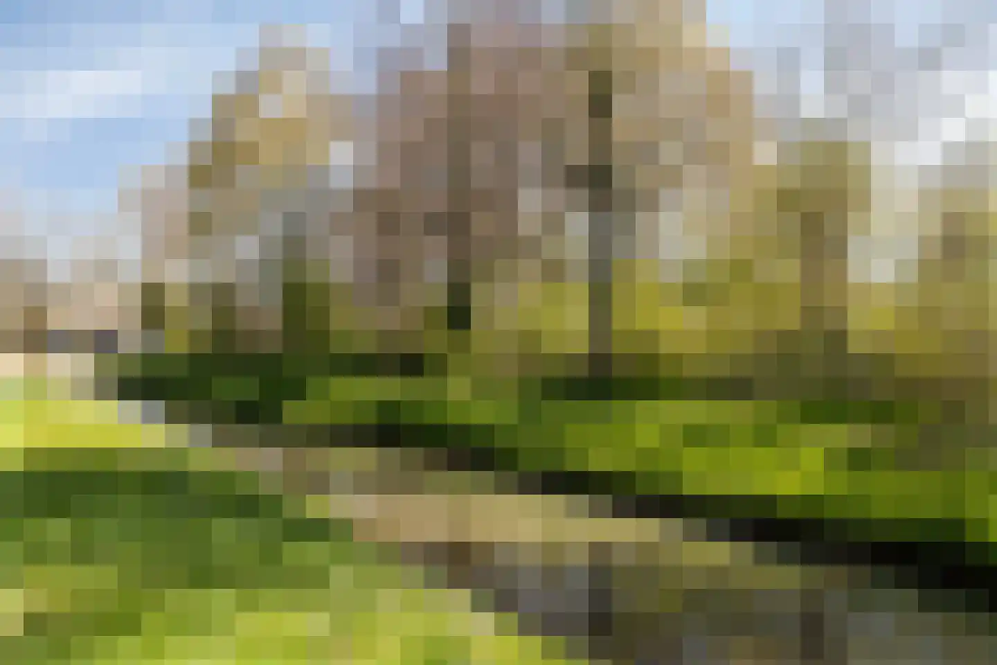 Slakweg 104 Gaanderen thumbnail 57