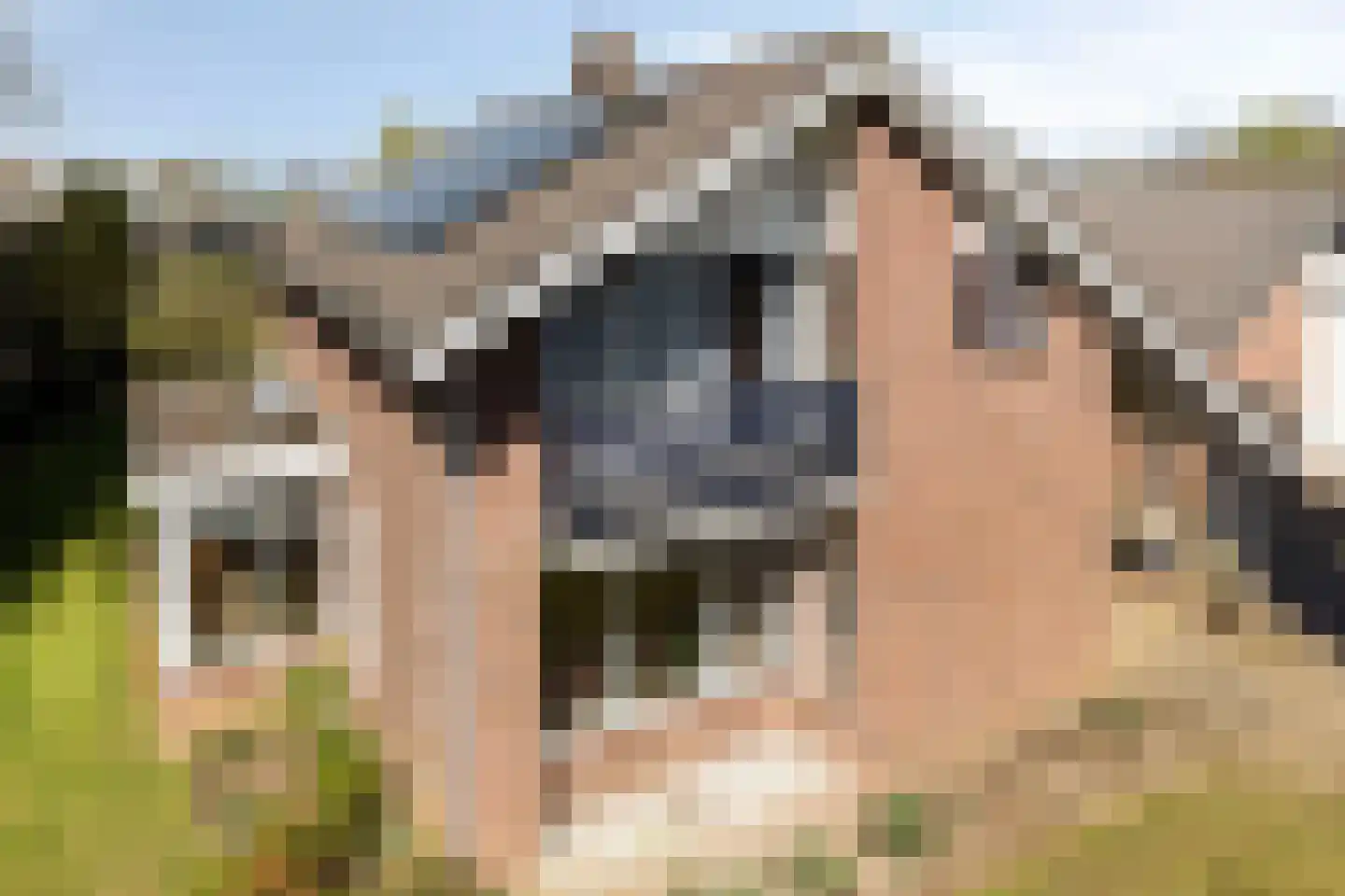 Slakweg 104 Gaanderen thumbnail 7