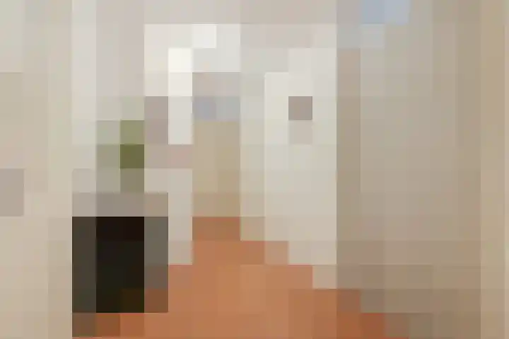 Slakweg 3 01 Gaanderen thumbnail 11
