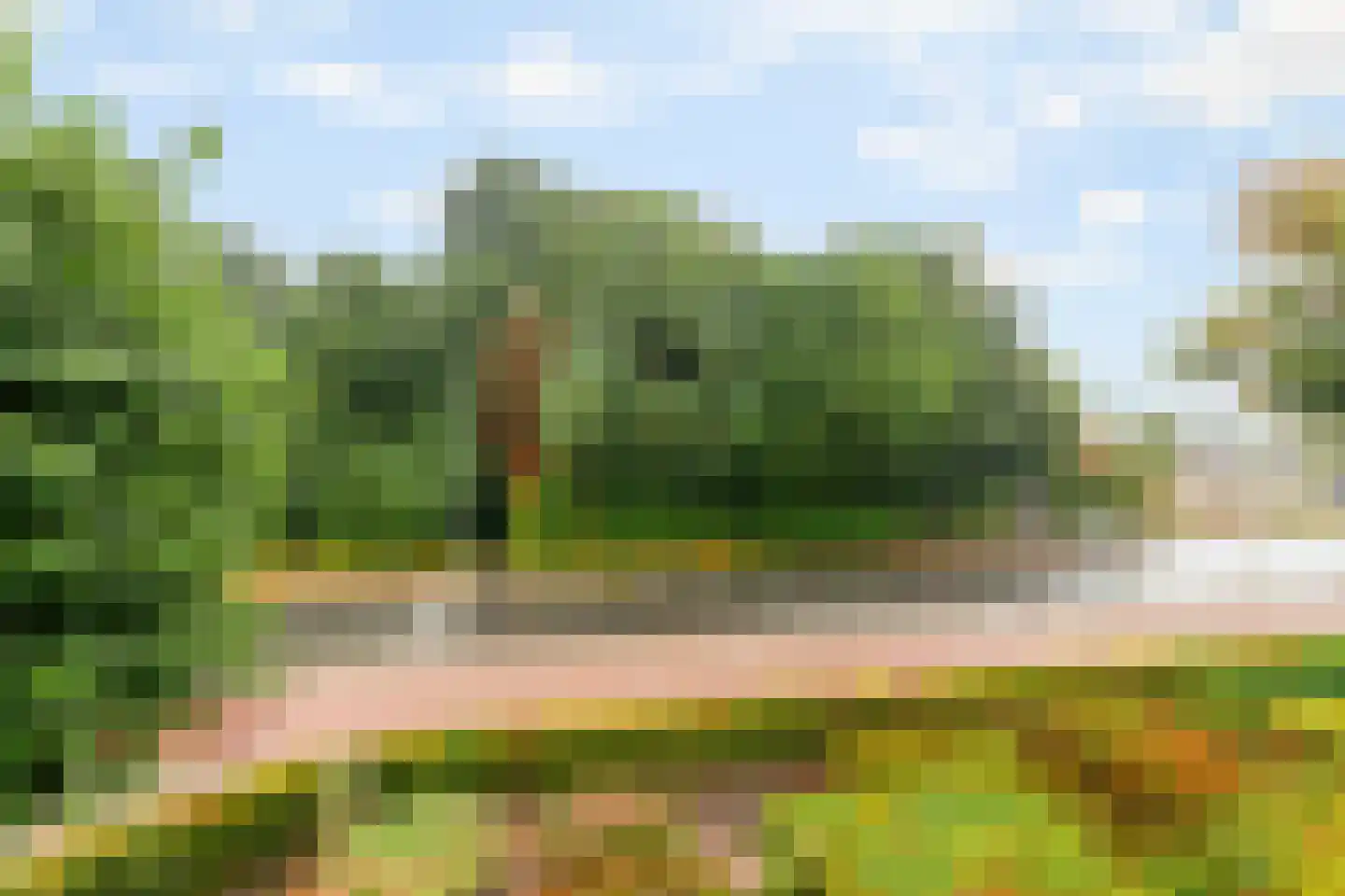 Slakweg 3 05 Gaanderen thumbnail 12