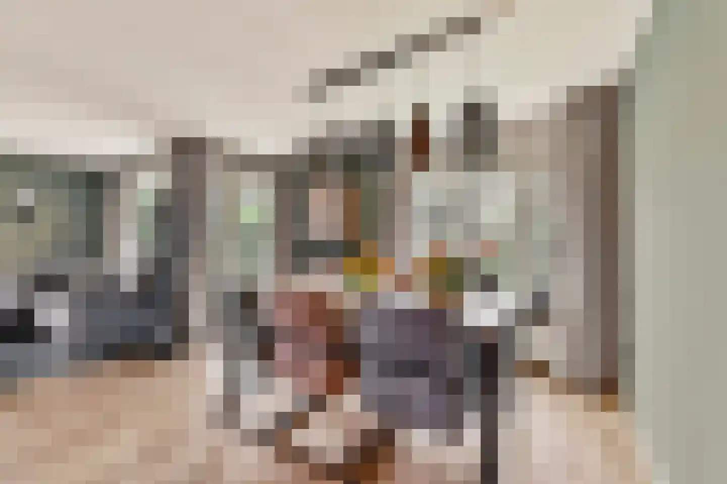 Slakweg 3 05 Gaanderen thumbnail 8