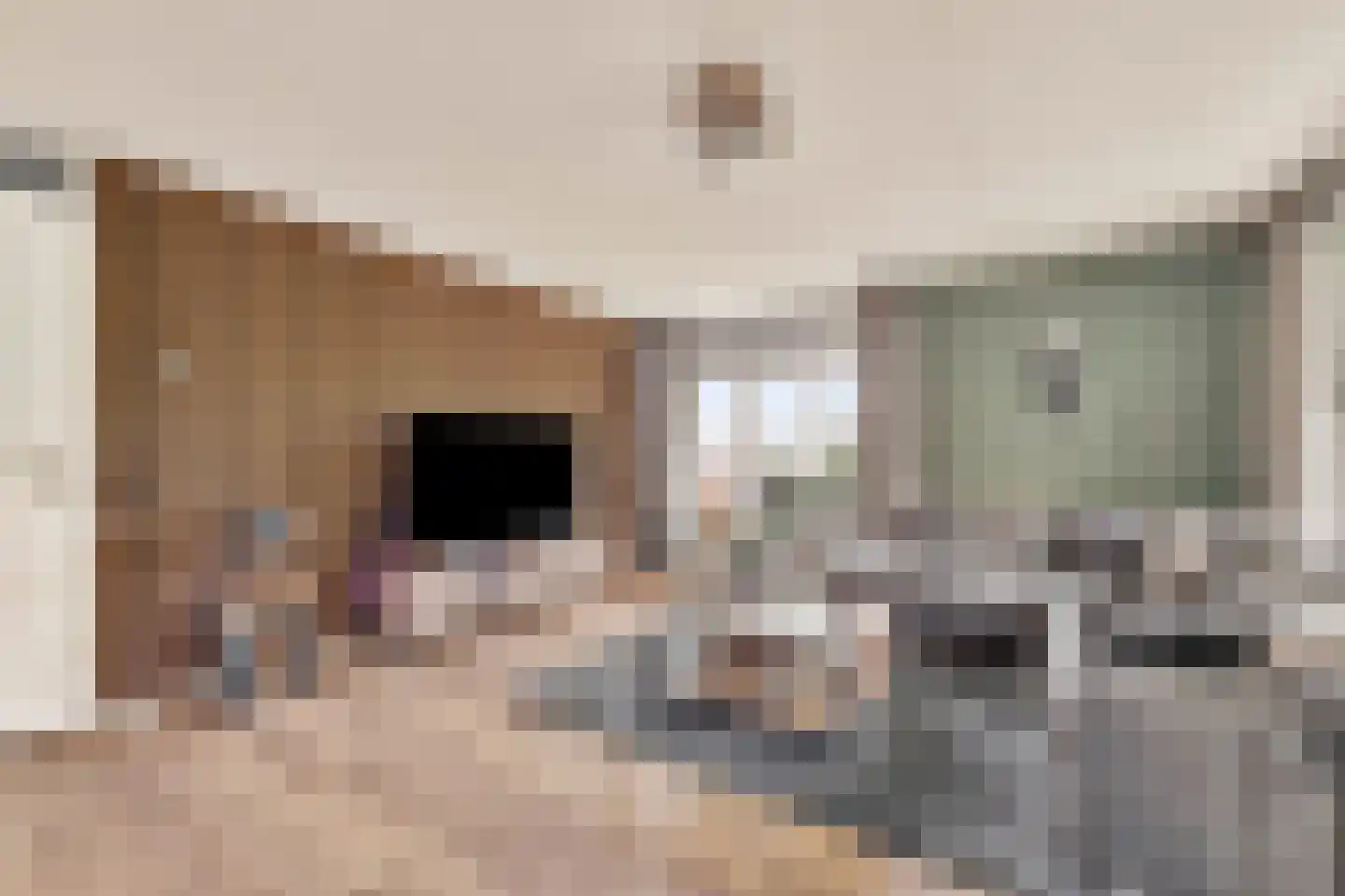 Slakweg 3 05 Gaanderen thumbnail 9