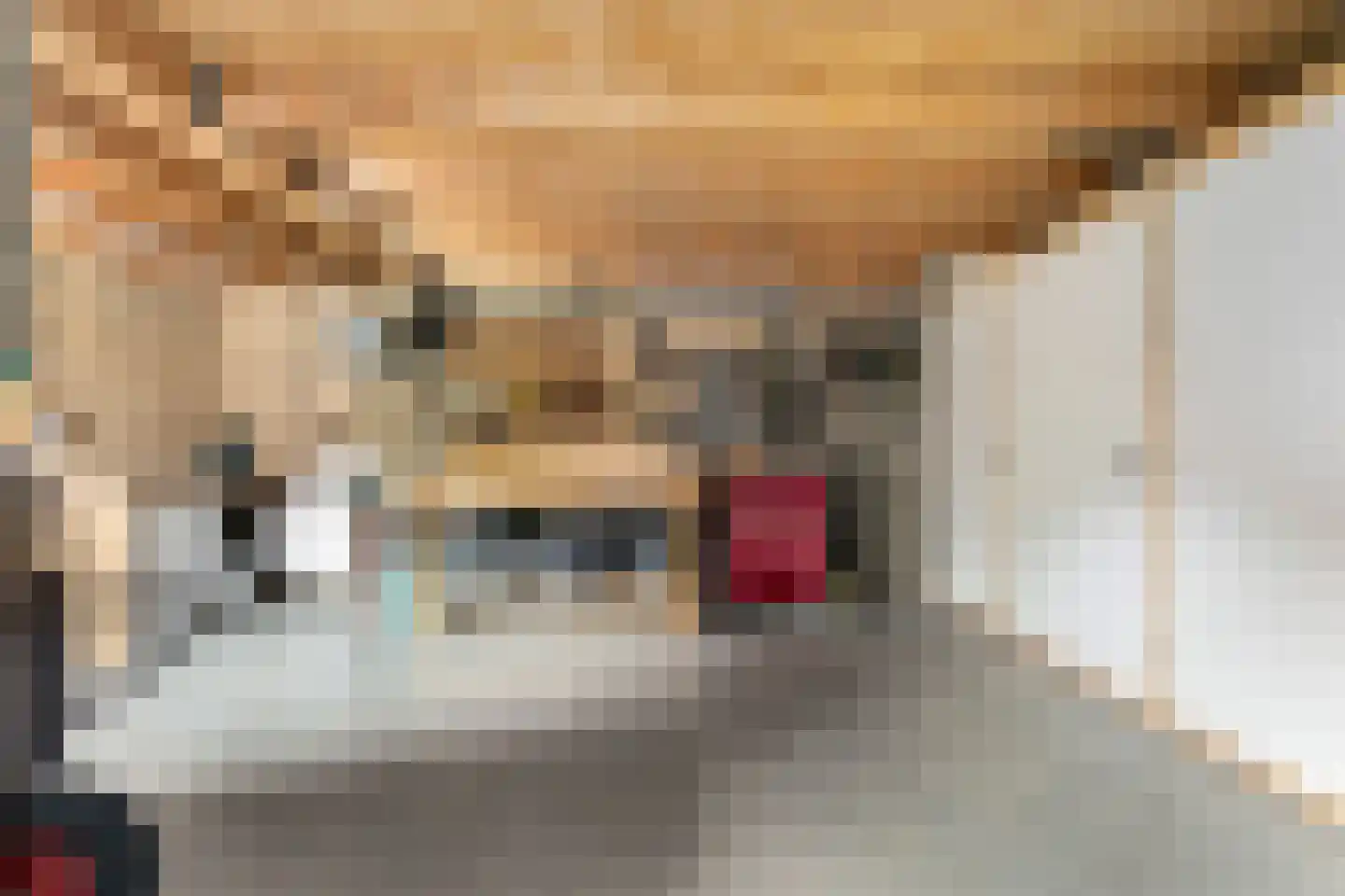 Slakweg 3 Berg en Terblijt thumbnail 28