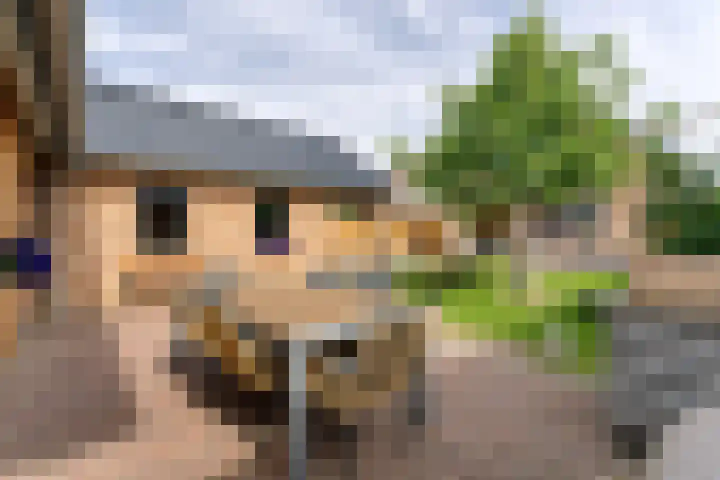 Slakweg 3 Berg en Terblijt foto 3