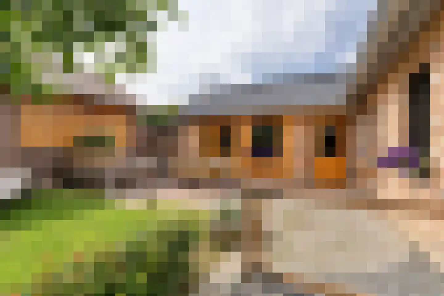 Slakweg 3 Berg en Terblijt thumbnail 32