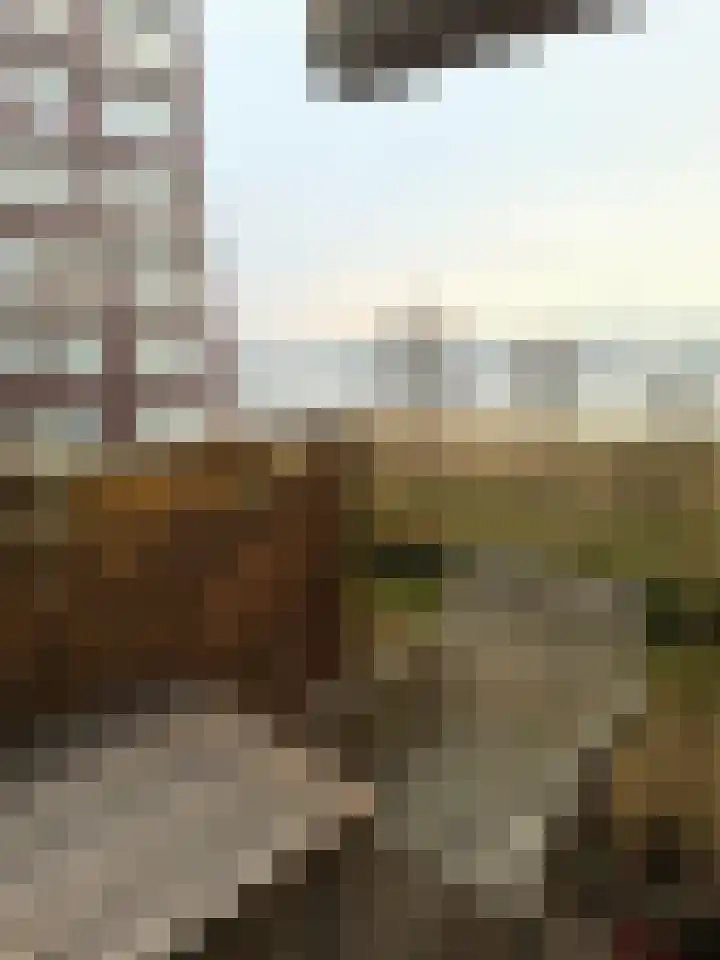 Slamatstraat 108 Rotterdam thumbnail 11