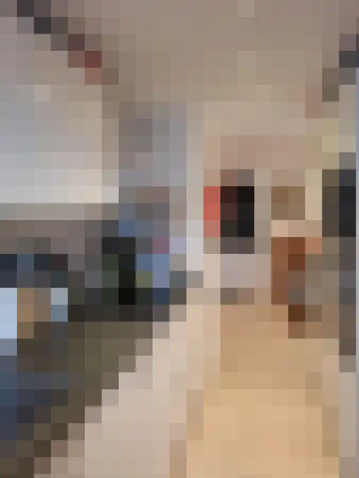 Slamatstraat 108 Rotterdam thumbnail 7