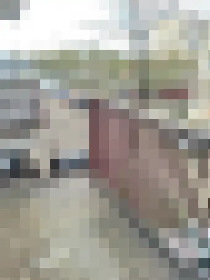 Slamatstraat 24 Rotterdam thumbnail 6
