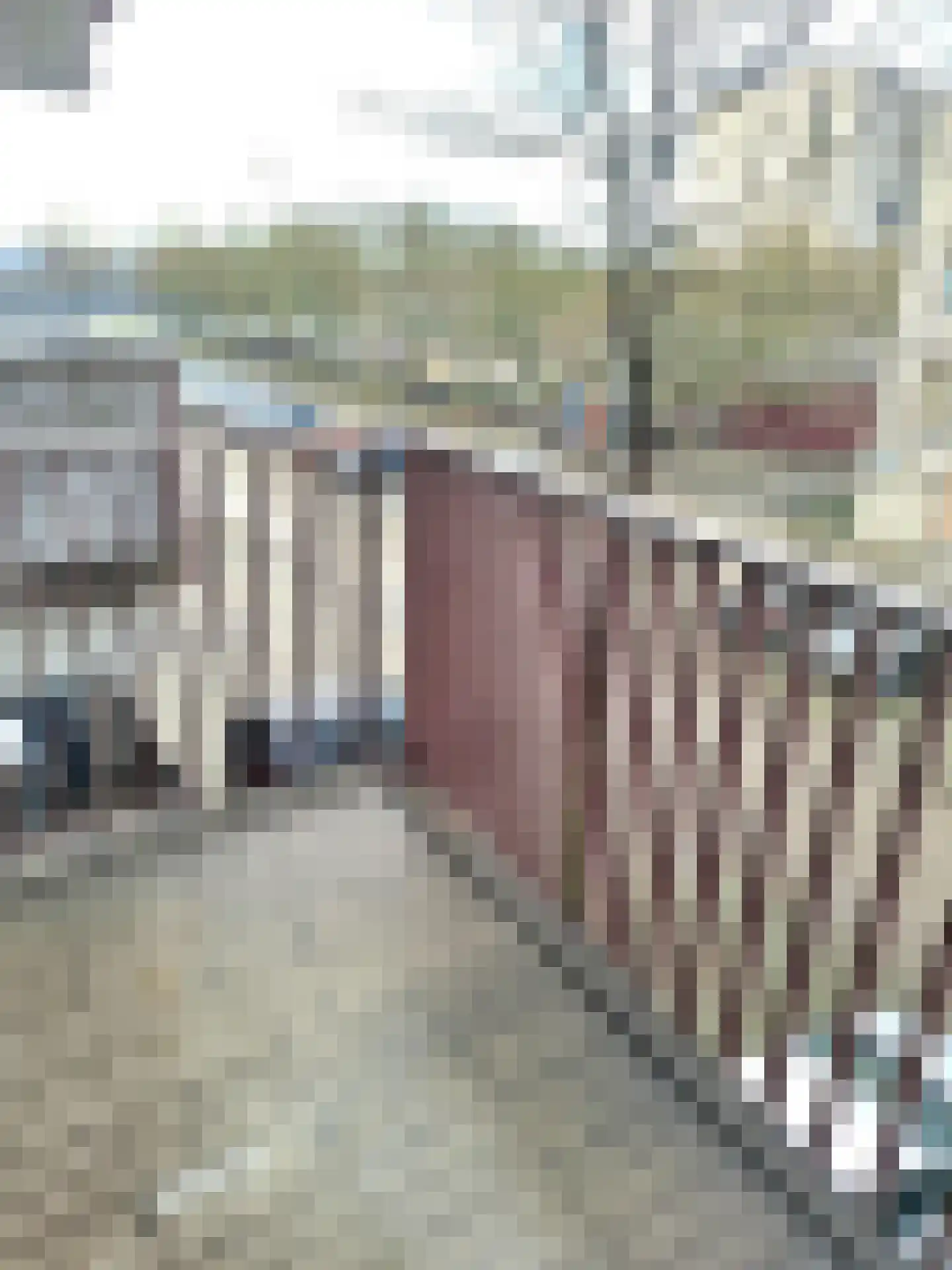 Slamatstraat 24 Rotterdam thumbnail 6