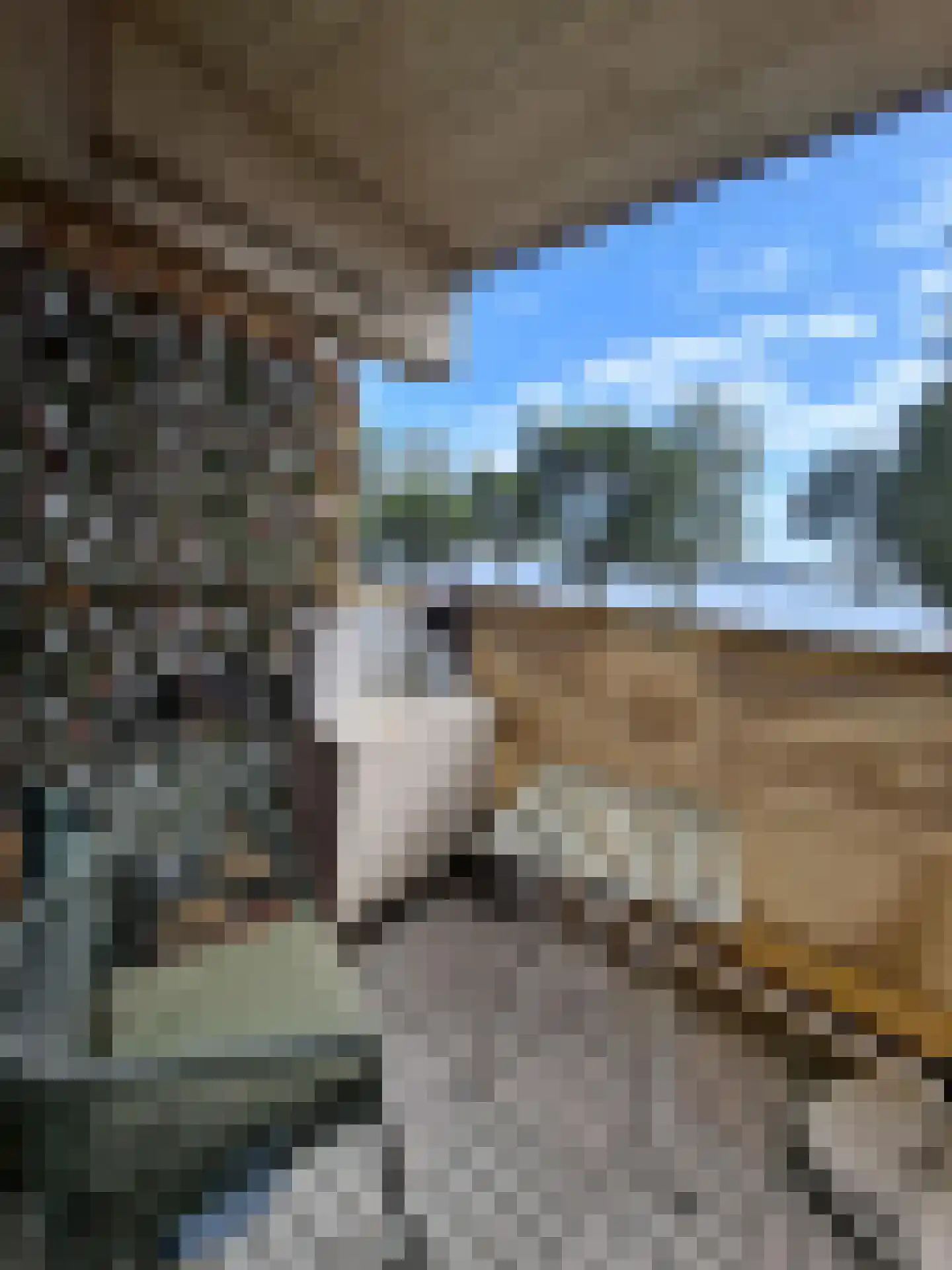 Slamatstraat 82 Rotterdam thumbnail 8