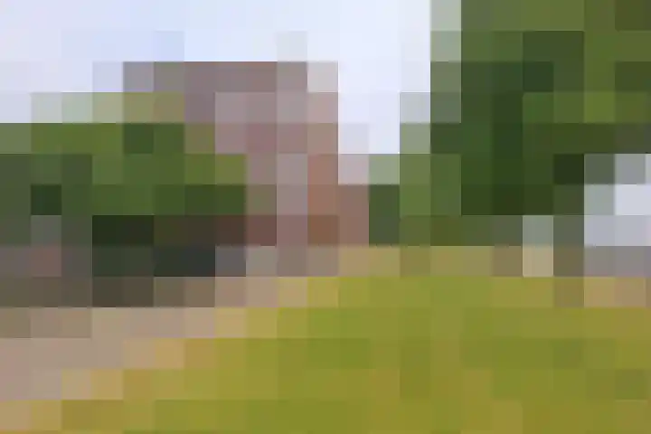 Slamatstraat 96 in Rotterdam