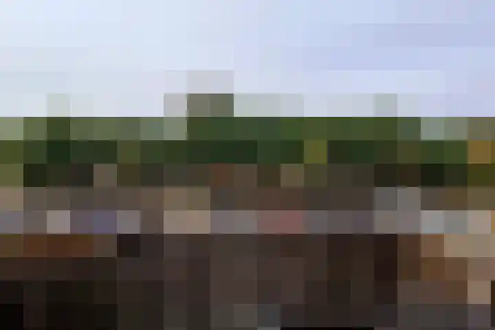 Slamatstraat 96 Rotterdam thumbnail 15
