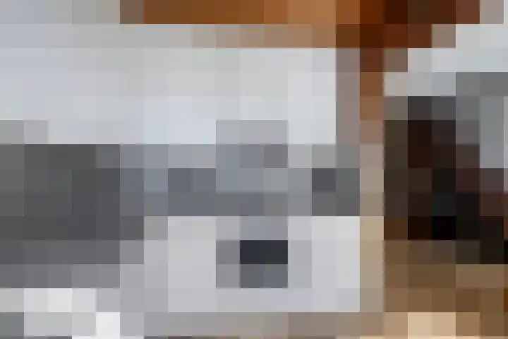 Slamatstraat 96 Rotterdam thumbnail 9