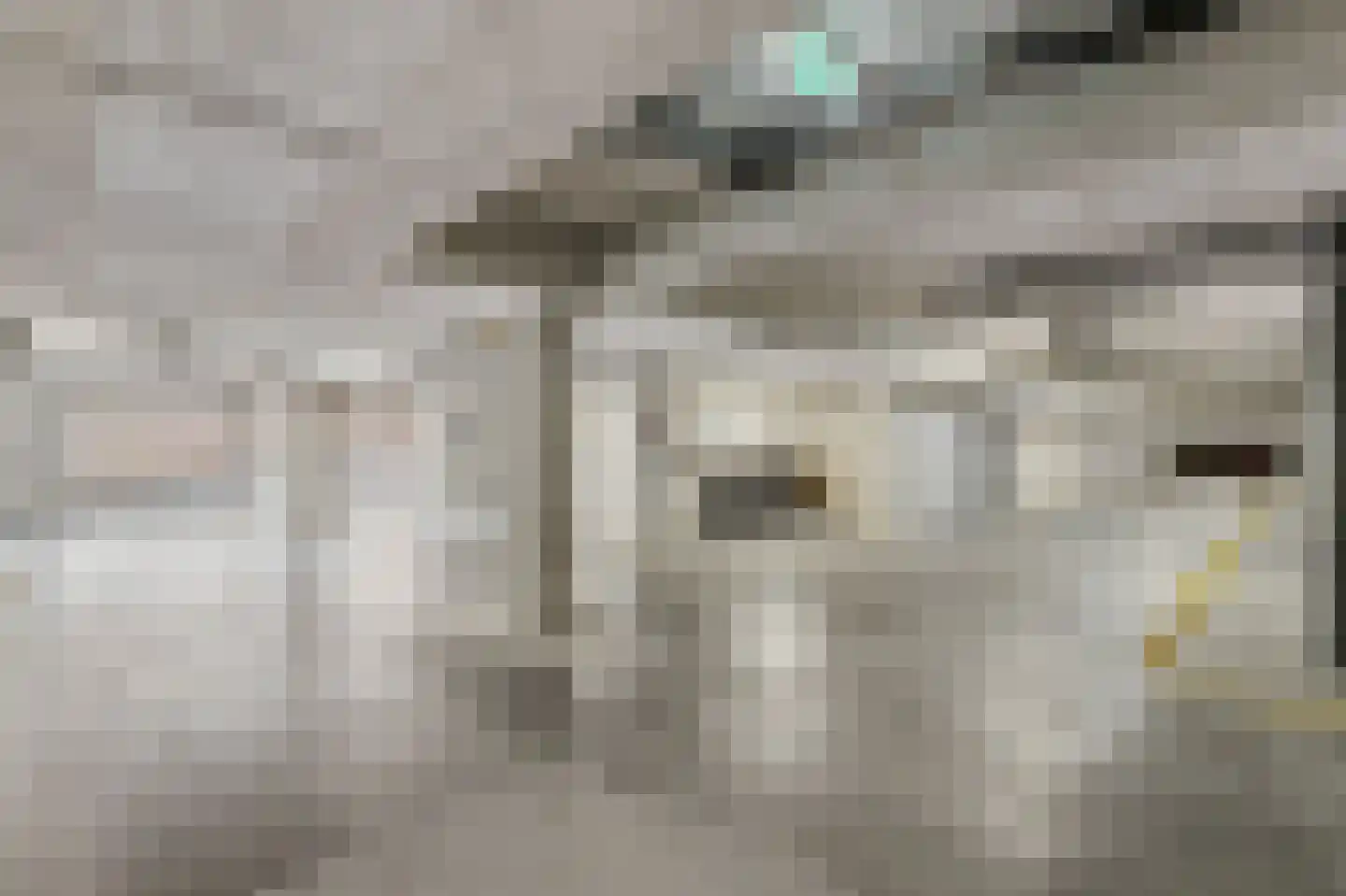 Slangekruid 101 Monster thumbnail 21