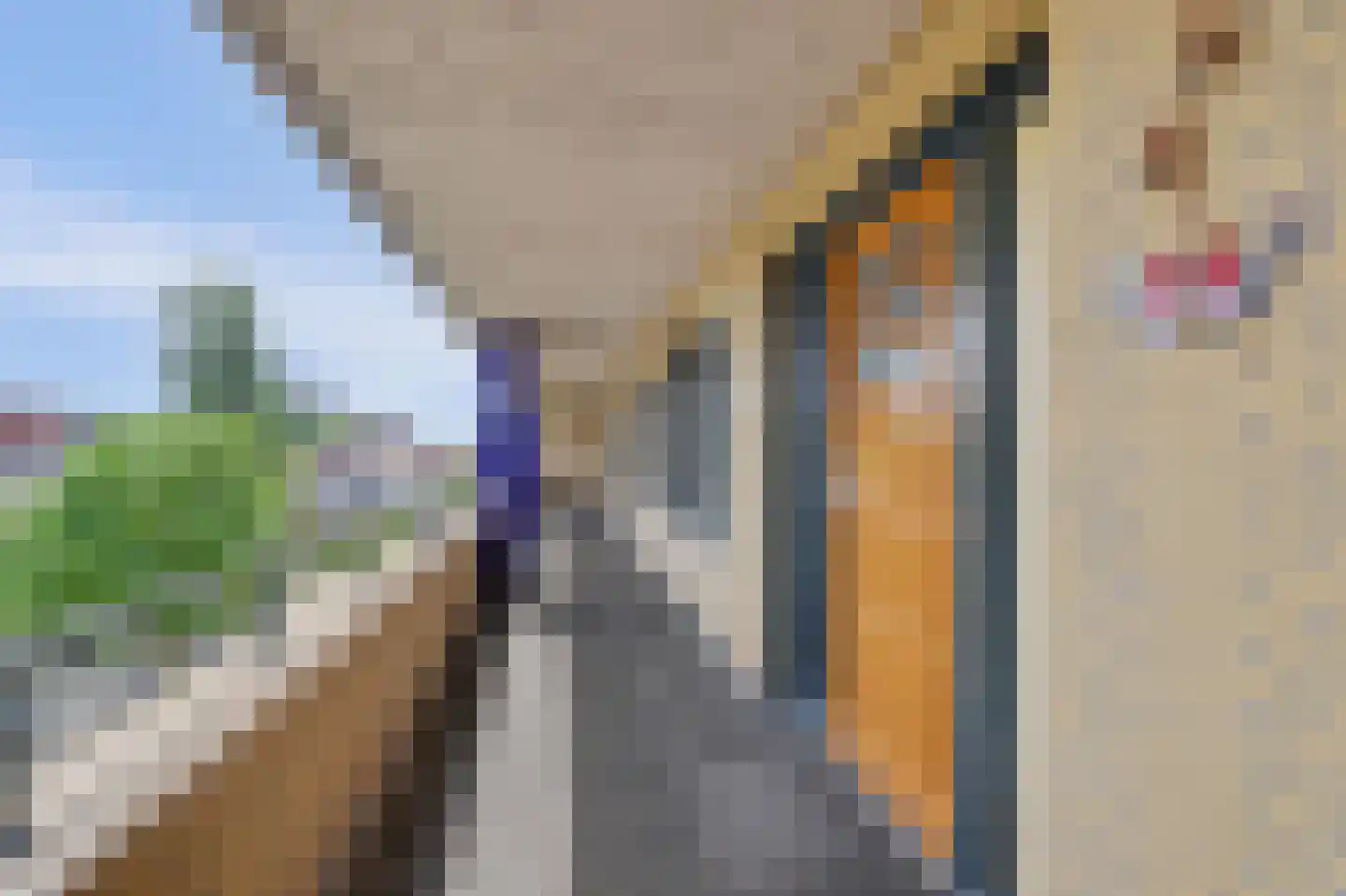 Slangekruid 101 Monster thumbnail 4