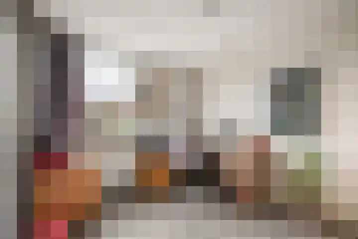 Slangekruid 11 Nieuwerkerk aan den IJssel thumbnail 12