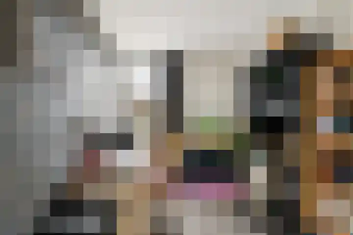 Slangekruid 11 Nieuwerkerk aan den IJssel thumbnail 14