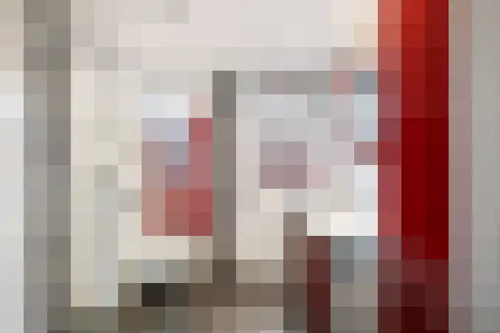 Slangekruid 11 Nieuwerkerk aan den IJssel thumbnail 15