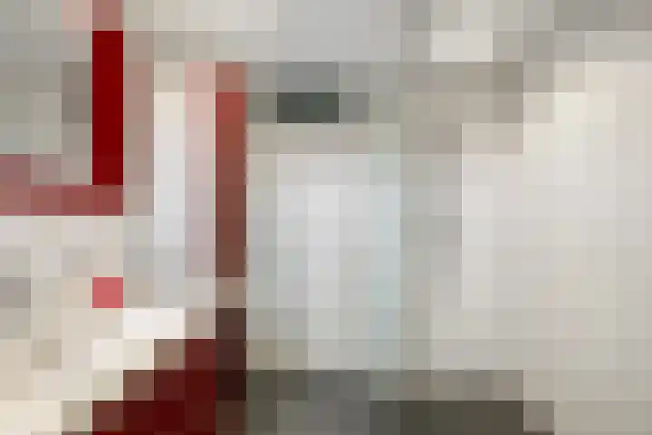 Slangekruid 11 Nieuwerkerk aan den IJssel thumbnail 16