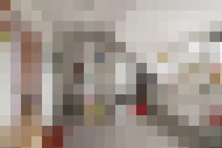 Slangekruid 11 Nieuwerkerk aan den IJssel thumbnail 17