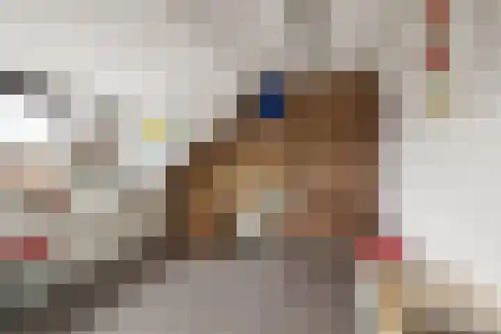 Slangekruid 11 Nieuwerkerk aan den IJssel thumbnail 18