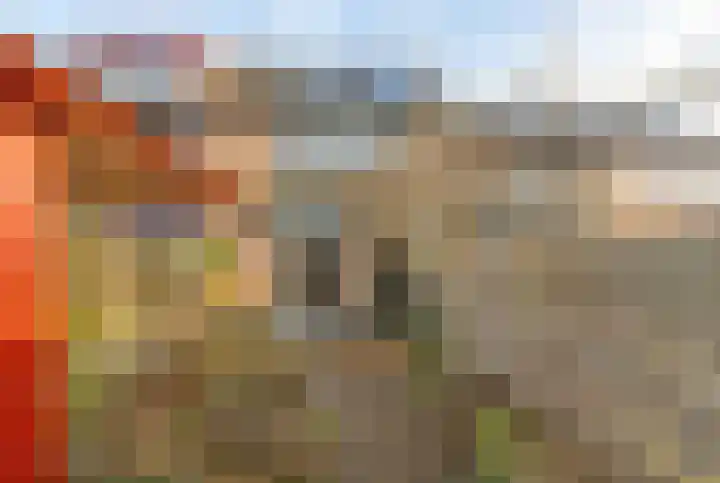 Slangekruid 11 Nieuwerkerk aan den IJssel thumbnail 21