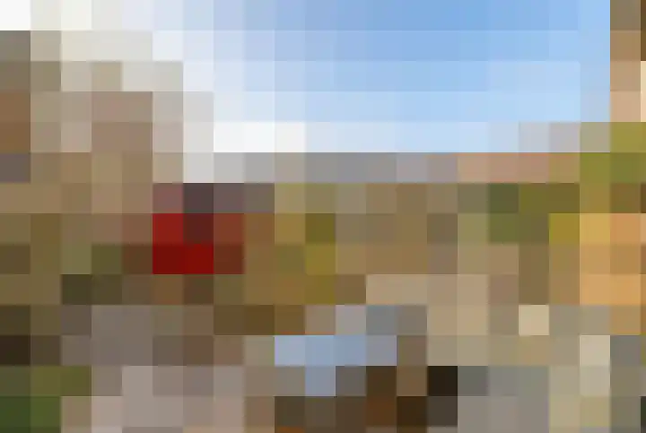 Slangekruid 11 Nieuwerkerk aan den IJssel thumbnail 23