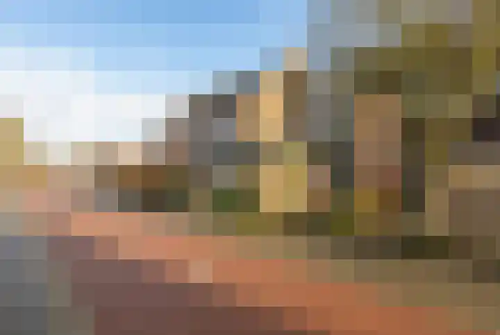 Slangekruid 11 Nieuwerkerk aan den IJssel thumbnail 24