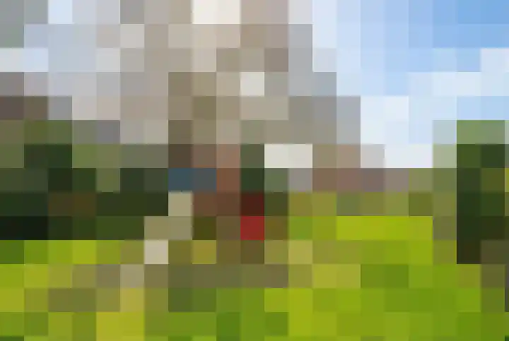 Slangekruid 11 Nieuwerkerk aan den IJssel thumbnail 25