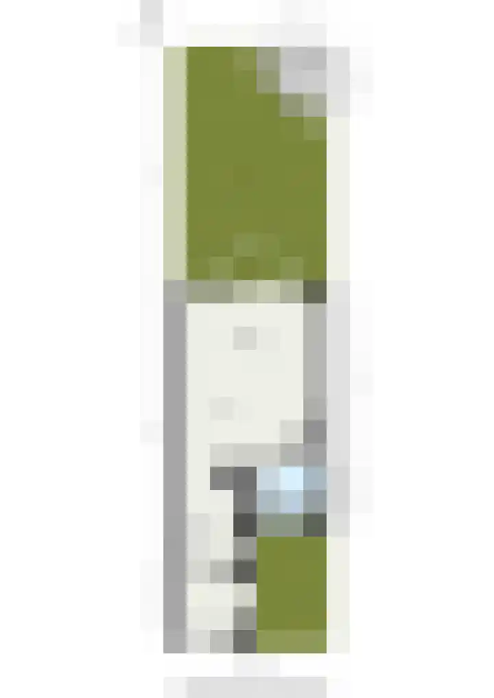 Slangekruid 11 Nieuwerkerk aan den IJssel thumbnail 29