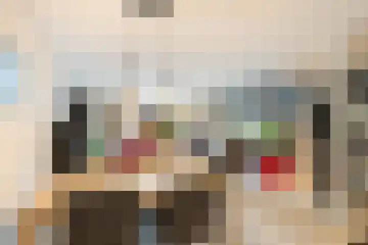 Slangekruid 11 Nieuwerkerk aan den IJssel thumbnail 4